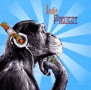 Indie Project_musicaintorno