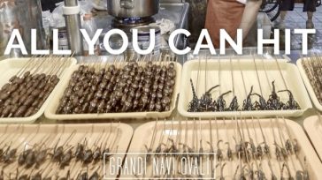 “ALL YOU CAN HIT”, GRANDI NAVI OVALI