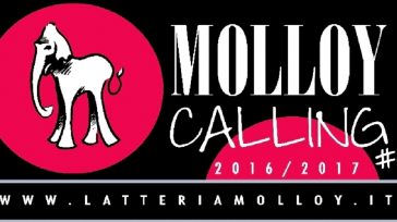 MOLLOY CALLING