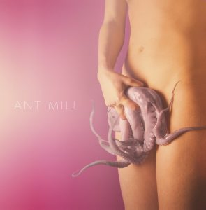 ant-mill1_musicaintorno