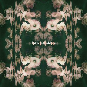 fitzcataldo2_musicaintorno