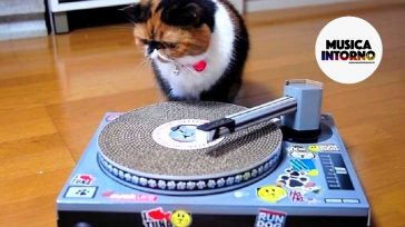 PLAYLIST IN RADIO, MUSICA COME ISTINTO!