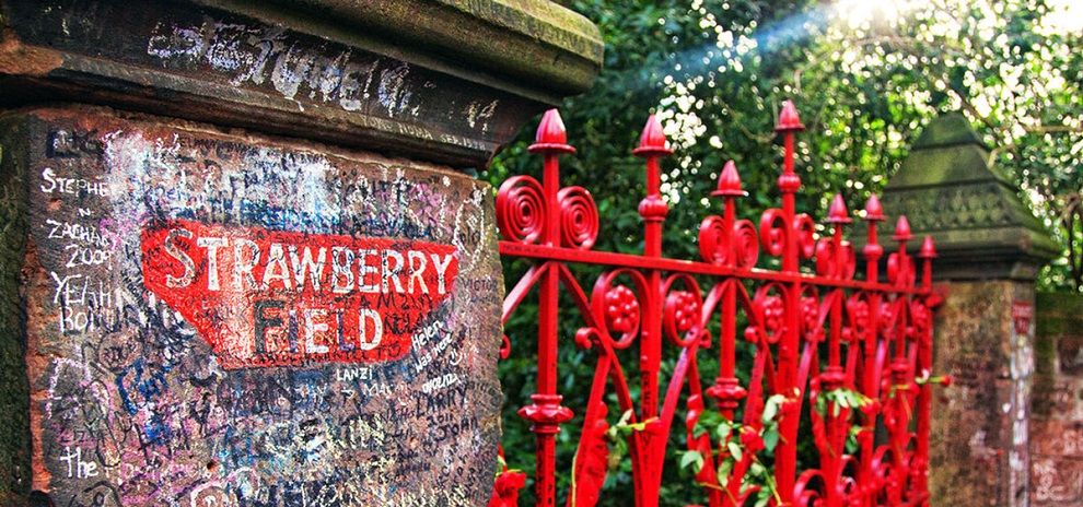 Strawberry days 03_musicaintorno