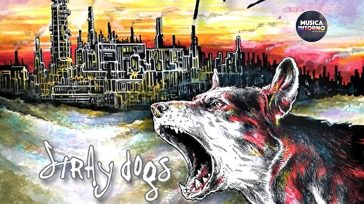 STRAY DOGS, SUL FILO DELLA CHITARRA ELETTRICA