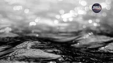 SEA SONGS, IL MARE COME VIA D’USCITA