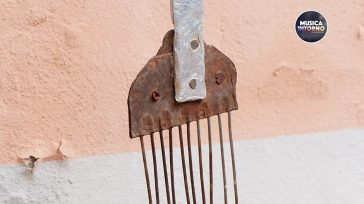 LA MIA PATRIA ATTUALE, SOLENNITÀ COMUNICATIVA DI MASSIMO ZAMBONI