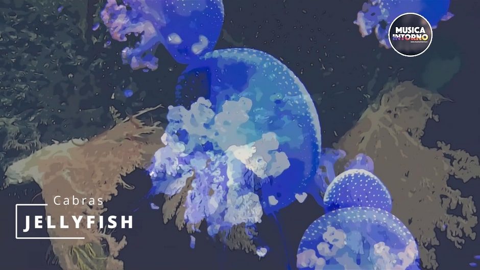 DREAM VERSION AND JELLYFISH, THE ORIGINAL SOUND BY CABRAS