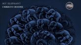 SKY ELEPHANT, L’INCANTO MINIMALE DI UMBERTO CICCONE
