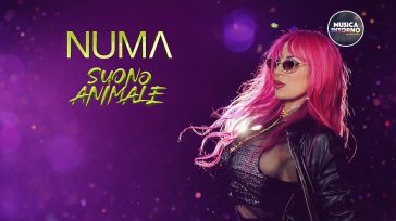 SUONO ANIMALE, CUORE ROMANO E APPEAL INTERNAZIONALE DI NUMA PALMER